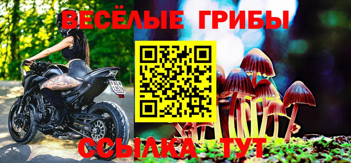 Галлюциногенные грибы прущие грибы Тайшет
